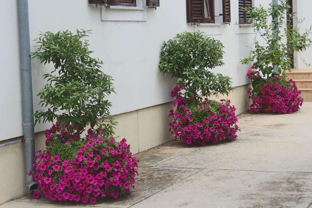 Villa Margareta Sukošan Exterior foto